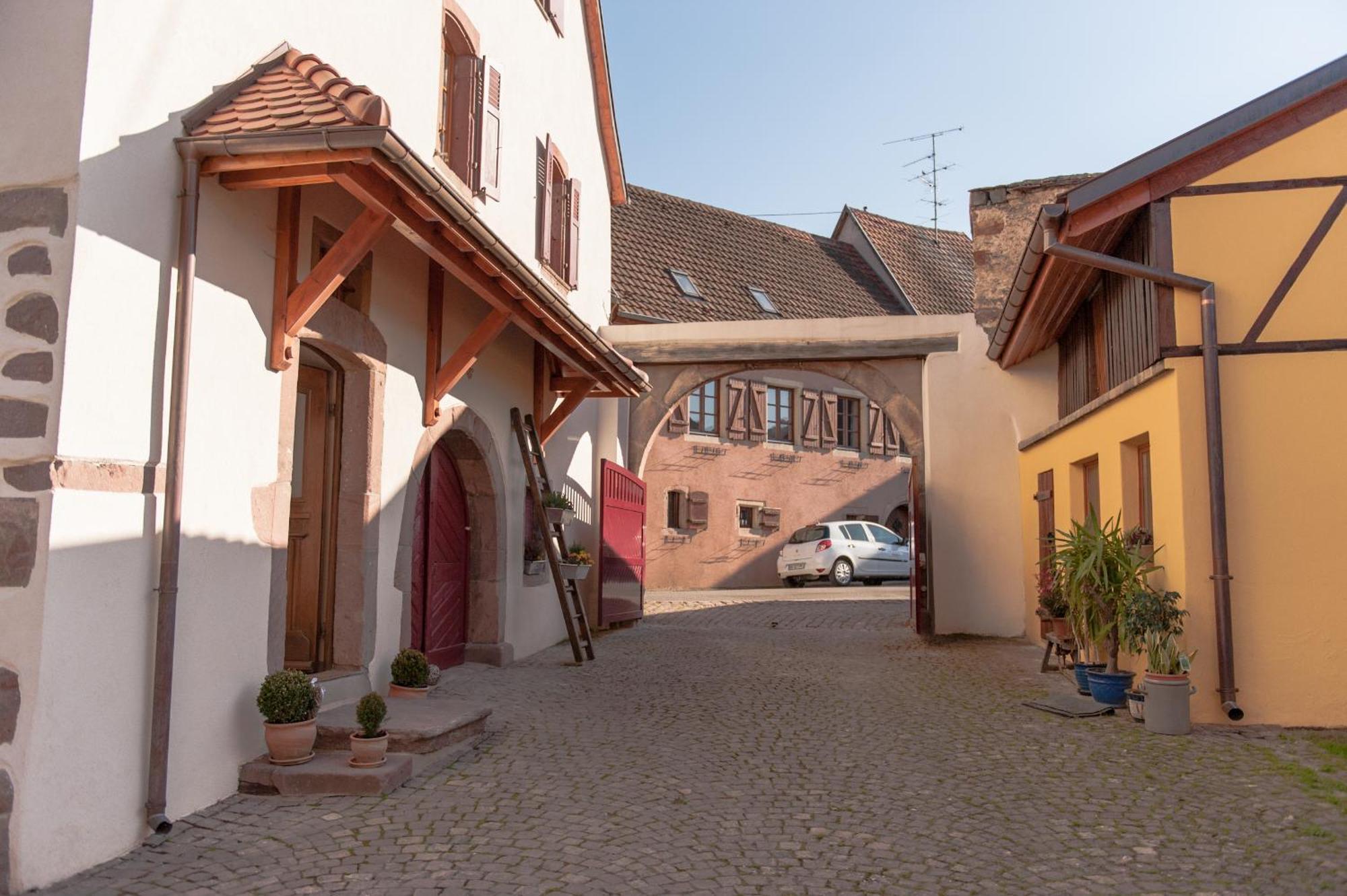 La Maison D'Emilie Pfaffenheim Zewnętrze zdjęcie